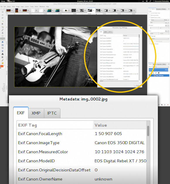 Metadata dialog in GIMP