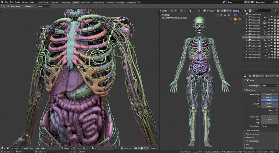 Mike Pan, Blender 2.80 for medical visualizations