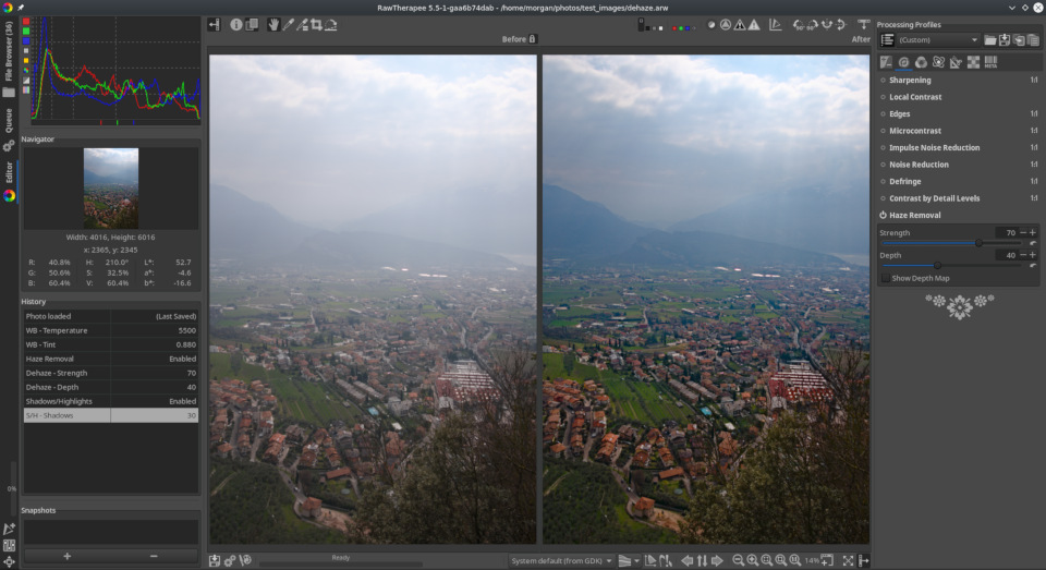 RawTherapee 5.5, haze removal