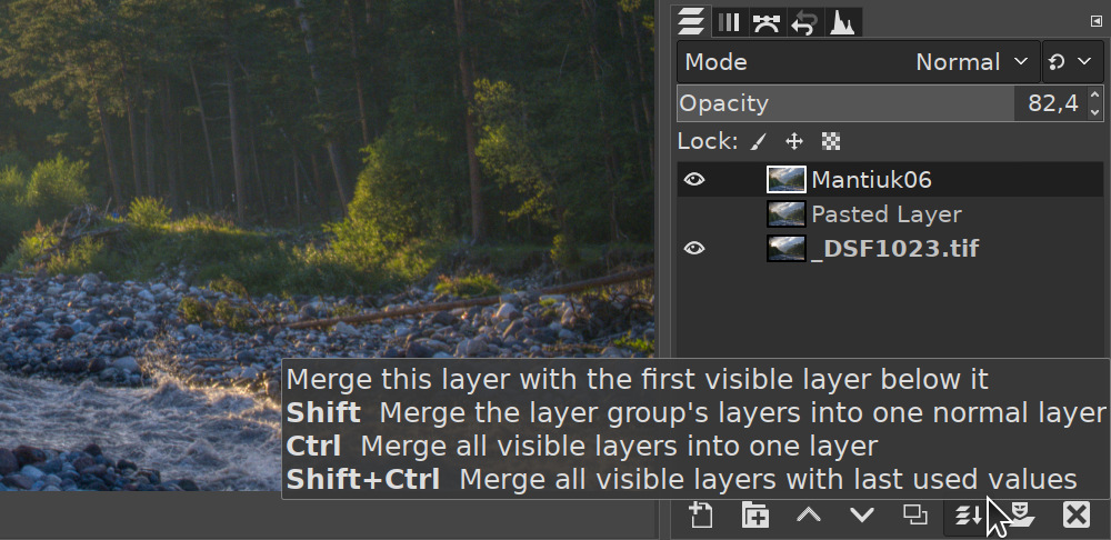 gimp 2.8.22 raw images