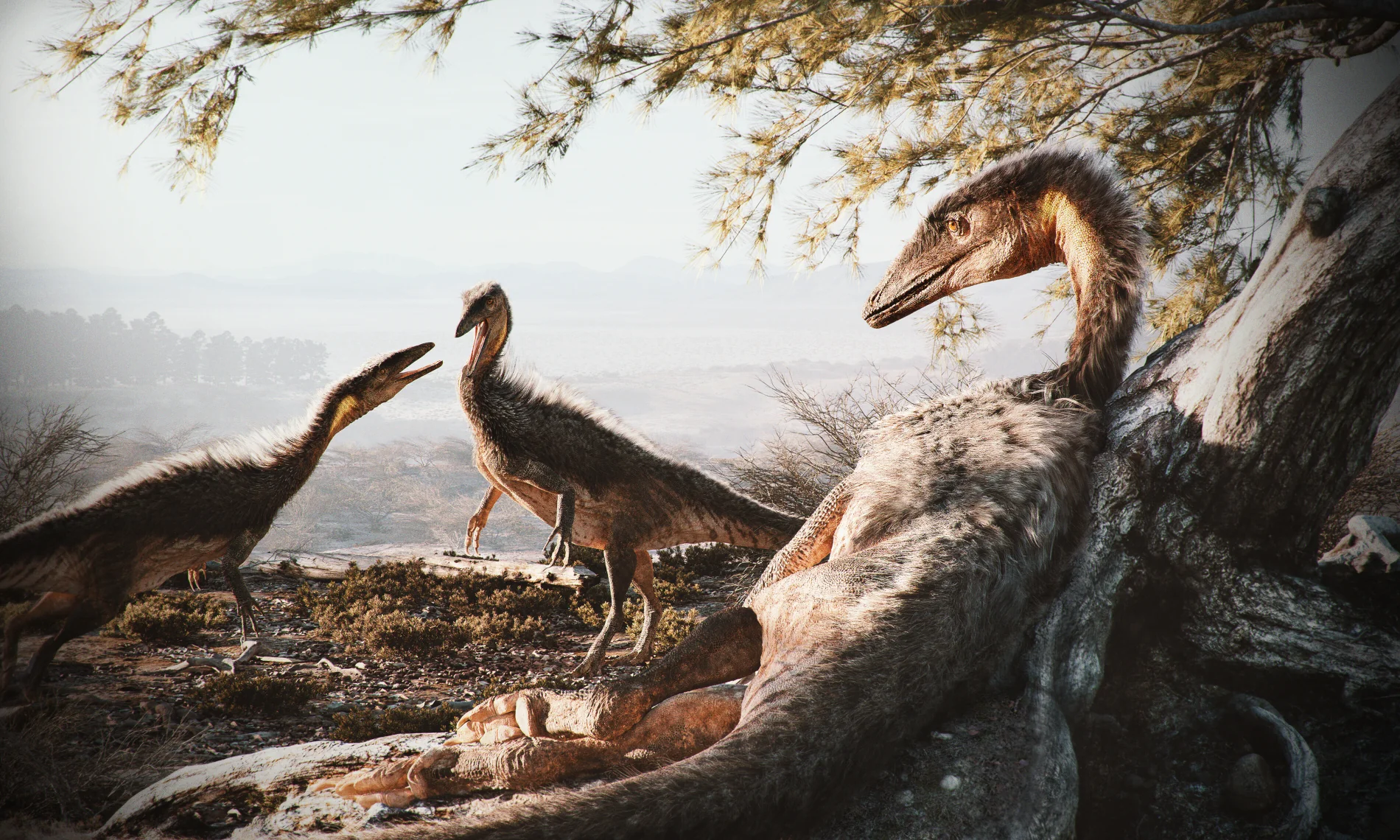 Coelophysis Vauri render