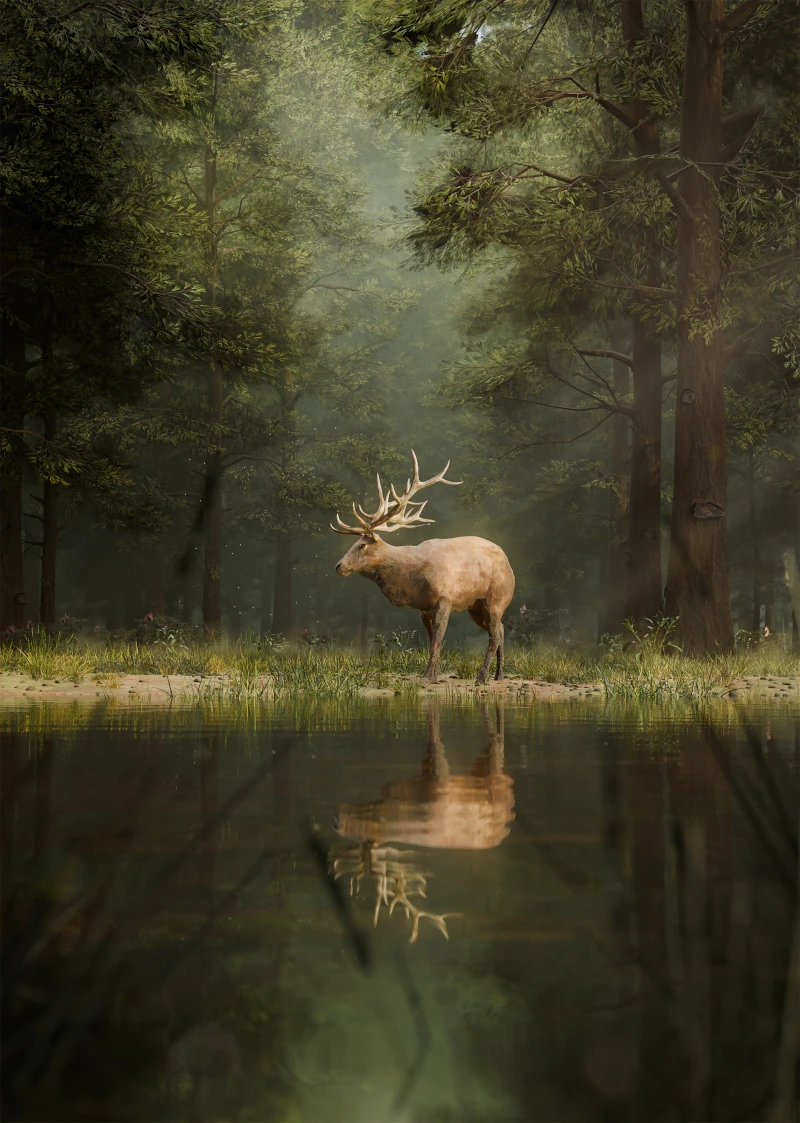 Alive by Muhammda Fahad