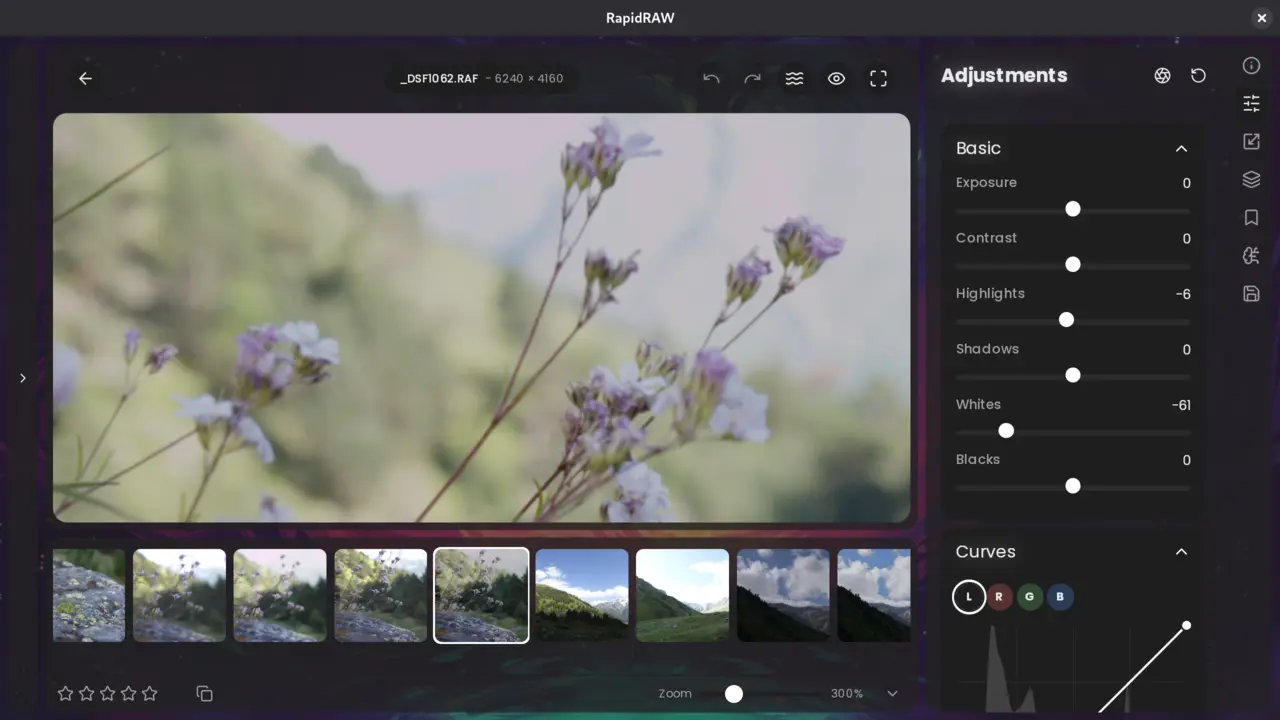 Highlights in RapidRw 1.3.8