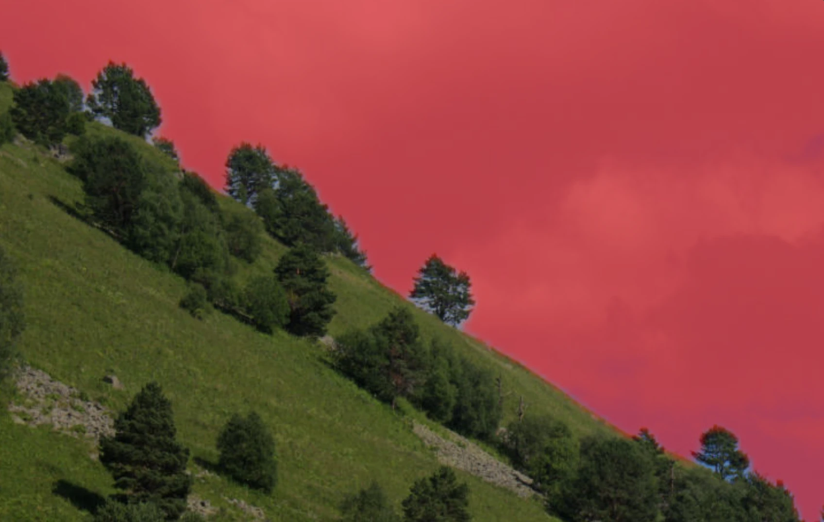 Trees in AI sky mask