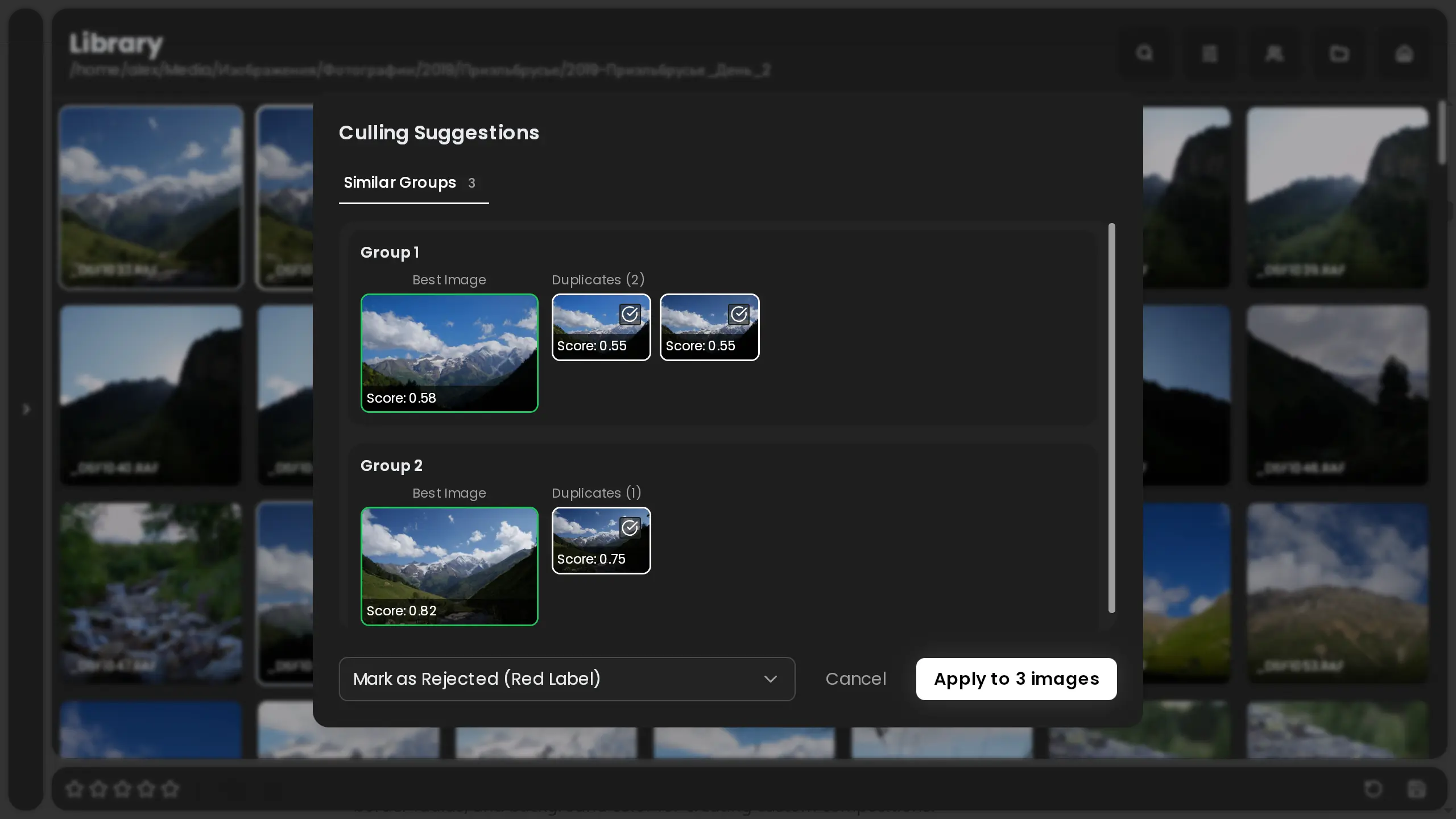 Auto-culling in RapidRAW 1.4