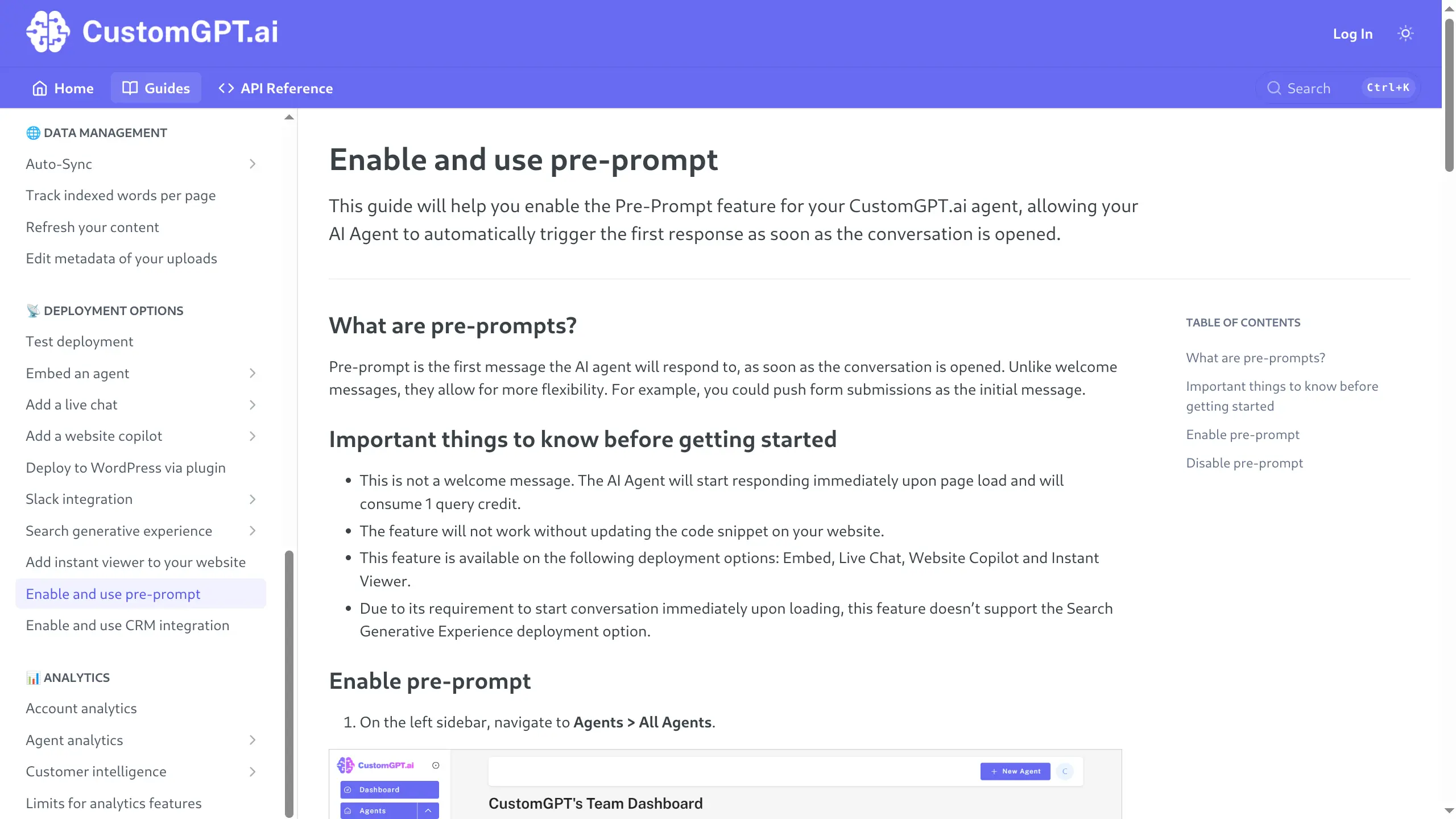 CustomGPT